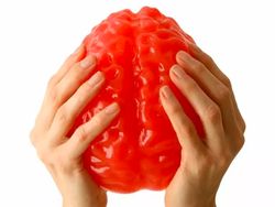 Deretan Barang Aneh di Toko Online Ini Bikin Ngakak