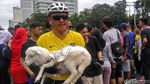 Ular, Biawak, hingga Domba Ramaikan CFD Pertama di Tahun 2018