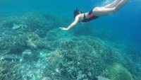 Selain itu juga Andra suka snorkling serta diving lho. Foto: Instagram/@alexandra.asma
