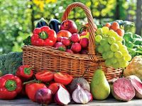 Lagi Diet? Ini Waktu Terbaik untuk Konsumsi 10 Jenis Makanan Ini (1)