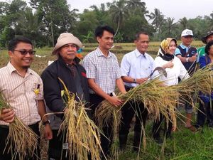 Luas Panen di Jabar Selatan Ditarget 39.000 Ha Hingga Maret 2018
