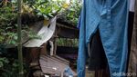 Deretan Rumah Semi Permanen di Jagakarsa