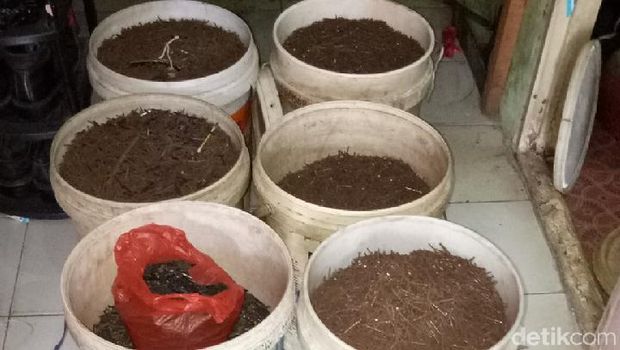  Gambar paku ranjau koleksi Rohim di rumahnya.