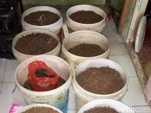 Bertahun-tahun Sapu Jalanan Dapat 4 Ton Ranjau Paku