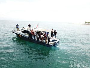 Ribuan Baby Lobster Dilepasliarkan di Pulau Gili Probolinggo