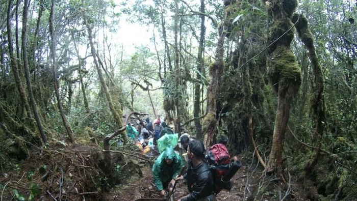 Gunung Sibuatan