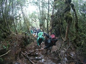 Puncak Tertinggi di Sumut, Gunung Sibuatan Sajikan Pemandangan Eksotis