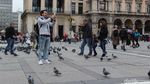 Foto: Merpati-merpati Cantik & Alun-alun Nyaman Kota Milan