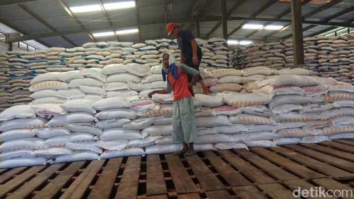 Jember dapat tambahan Pupuk