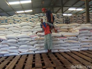 Masuki Masa Tanam, Stok Pupuk Disiapkan Hingga 1 Juta Ton