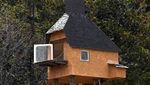Rumah Pohon Paling Berbahaya di Jepang