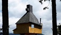 Rumah pohon ini merupakan rumah teh milik salah satu akademisi dan arsitek dari Jepang yaitu Fujimori. Dezeen.com/Istimewa.