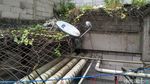 Ini Lokasi Jatuhnya Karyawati Bank yang Loncat dari Apartemen