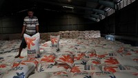 Pada Januari 2018 diperkirakan sebanyak 37.908 ton, tersebar di 198 titik di 26 divisi regional seluruh Indonesia dan akan dilaksanakan hingga 31 Maret 2018.