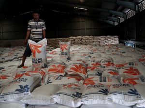 Jamin Beras Aman Jelang Puasa, Mentan: Stok Bulog 1 Juta Ton