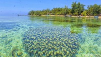 Kabupaten Pangkajene Kepulauan (Pangkep) Sulawesi Selatan dikenal sebagai wilayah yang memiliki gugusan pulau spermode yang begitu indah dan memukau (Moehammad Bakrie/detikTravel)