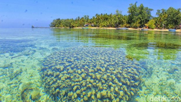 Pulau Kapoposang yang indah bukan main (Moehammad Bakrie/detikTravel)