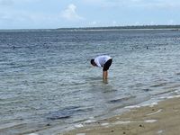 Presiden Jokowi saat mencuci muka di Pantai Nemberala (Ray Jordan/detikcom)