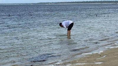 Foto: Jokowi dan Pantai Cantik di Ujung Selatan Indonesia