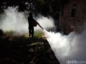 7 Warga di Kabupaten Semarang Terserang DB