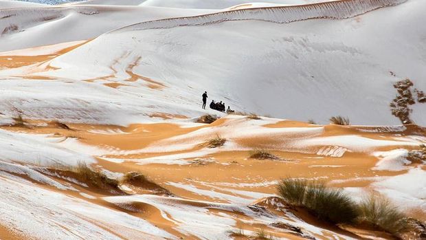 Faktanya, Gurun Sahara Berganti Iklim Tiap 20 Ribu Tahun