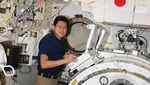 Foto: Ini Astronot Jepang yang Ngaku Tumbuh 9 Cm dalam 3 Minggu