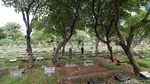 DKI Siapkan Rp 400 Miliar untuk Pengadaan Lahan Makam
