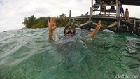 Snorkeling dan main air di sini pastinya tidak boleh dilewatkan. Segar dan menyenangkan (Moehammad Bakrie/detikTravel)
