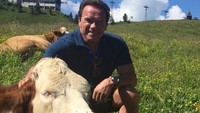 Sang Terminator sering juga menghabiskan waktu liburan bersama keluarganya. (schwarzenegger/Instagram)