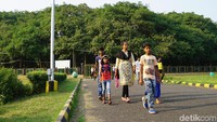 Pada tahun 1925, batang utama pohon tersebut dipotong agar sisanya tetap sehat. Setelahnya, batang yang ditinggalkan tumbuh menyebar membuat sebuah koloni yang berasal dari akar merambatnya (Masaul/detikTravel)