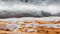 Ini salah satu pemandangan di Gurun Sahara yang diselimuti salju. (Foto: Zineddine Hashas/Geoff Robinson)