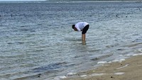 Foto: Saat ditanya, Jokowi menjelaskan maksud dirinya membasuh muka dengan air laut. Dia ingin merasakan segarnya air laut Indonesia bagian paling selatan. Ini kan air kaut Indonesia bagian selatan, paling selatan. Kita kan bisa merasakan segarnya, asinnya air laut kita, kata Jokowi tersenyum. Fotografer: Ray Jordan/detikcom