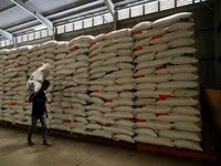 Harga Beras Makin Mahal, Pemerintah Akhirnya Pilih Impor