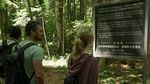 Sepi Mencekam di Aokigahara, Hutan Langganan Bunuh Diri di Jepang