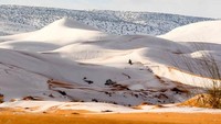 Salju ini membuat sebagian Gurun Sahara memutih (Foto: Zineddine Hashas/Geoff Robinson)