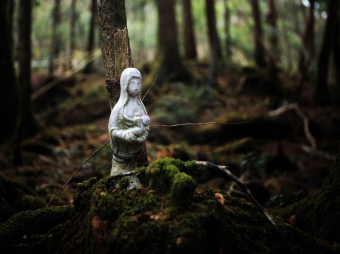Sepi Mencekam di Aokigahara, Hutan 'Langganan' Bunuh Diri di Jepang