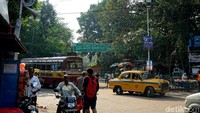 Lokasinya ada di Acharya Jagadish Chandra Bose Indian Botanic Garden atau biasa disebut Kebun Raya Kolkata (Masaul/detikTravel)