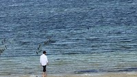 Foto: Presiden Jokowi keluar dari kamar tempat menginap yang tidak jauh dari bibir Pantai Nemberala, Desa Nemberala, Kecamatan Rote Barat, Rote Ndao, NTT, sekira pukul 07.30 WITA, Selasa (9/1/2018). Fotografer: Ray Jordan/detikcom