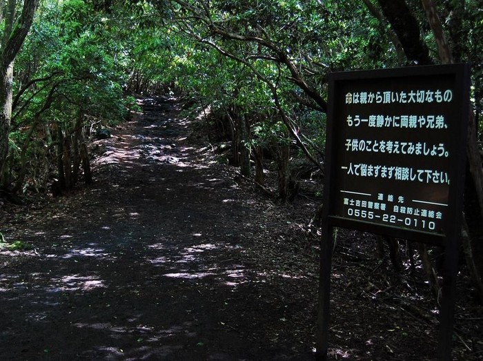 Sepi Mencekam di Aokigahara, Hutan 'Langganan' Bunuh Diri di Jepang