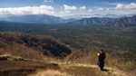 Sepi Mencekam di Aokigahara, Hutan Langganan Bunuh Diri di Jepang