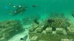 Foto: Snorkeling Asyik di Pulau Kapoposang