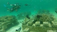 Di kedalaman laut, traveler bisa menyelam dan menikmati ragam terumbu karang dari hasil transplantasi masyarakat dan pemerintah setempat (Moehammad Bakrie/detikTravel)