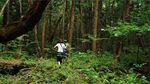 Sepi Mencekam di Aokigahara, Hutan Langganan Bunuh Diri di Jepang
