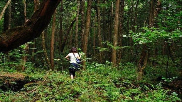 Aokigahara, Bunuh Diri dan Popularitas