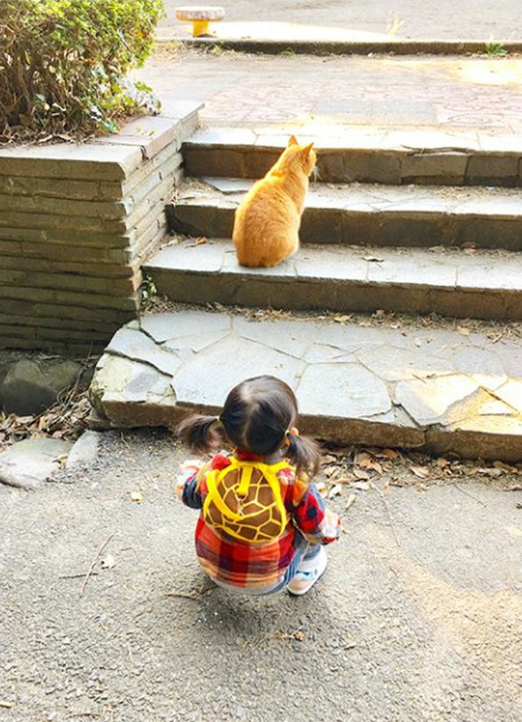 Momen-momen Kompak si Kecil dengan Kucing Peliharaannya