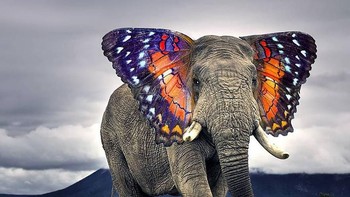 Butterphant, perpaduan gajah dengan kupu-kupu. (Foto: Boredpanda)