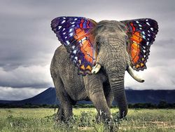 Potret Lucu Kawin Silang Hewan Hasil Photoshop