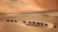 Kalau Planet Jakku dalam Star Wars: The Force Awakens, mengambil latar di gurun pasir Abu Dhabi, UEA (Abu Dhabi, UAE) (KARIM SAHIB/AFP/Getty Images)