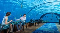 Layaknya di Sea World, traveler bisa melihat indahnya panorama bawah laut serta ikan yang sibuk lalu lalang sambil kulineran. Sensasinya luar biasa (dok Hurawalhi Maldives Resort)