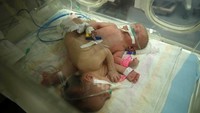Haneen dan Farah lahir di Gaza City. 